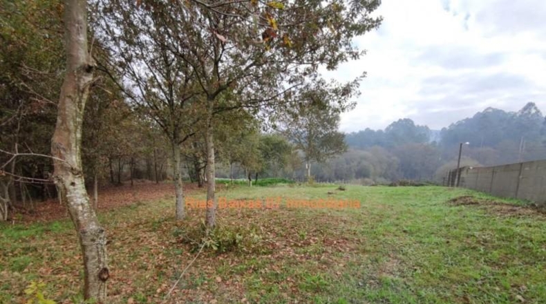 Pontevedra - Porriño - 730m2