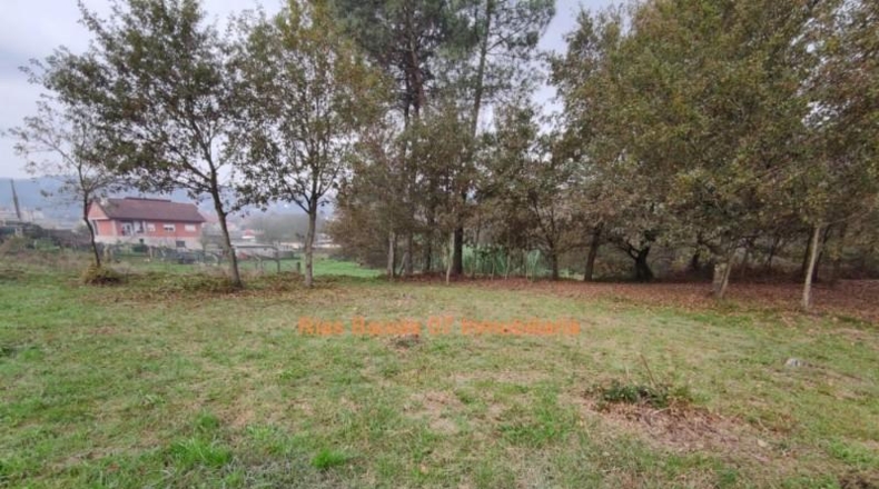 Pontevedra - Porriño - 730m2