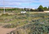 Terreny no urbanitzable en venda a la España, Librilla, ref.: TR114646 foto