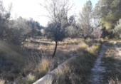 Terreny no urbanitzable en venda a la España, Moratalla, ref.: TR143945 foto