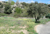 Sòl urbà en venda a la España, Santa Cruz de Pinares, ref.: TR118050 foto
