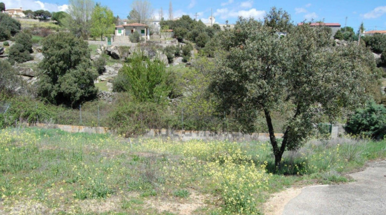 Ávila - Santa Cruz de Pinares - 625m2
