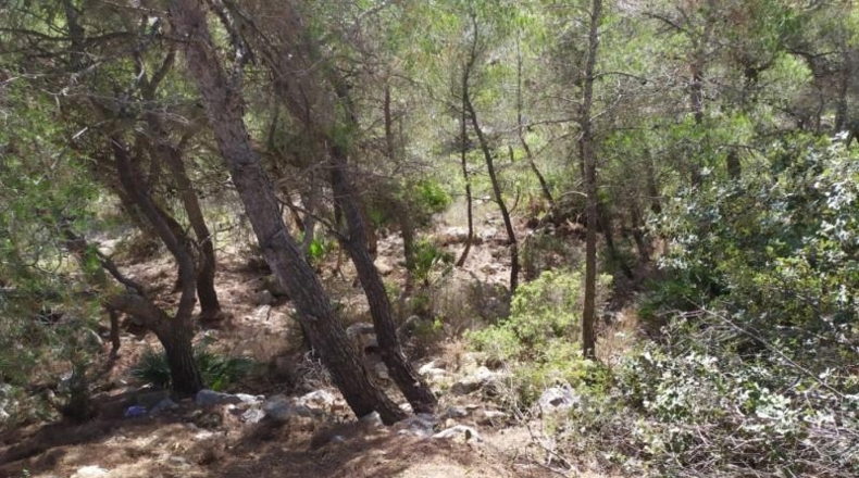 Barcelona - Canyelles - 439m2