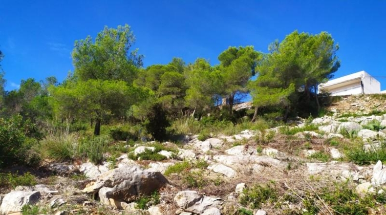 Barcelona - Canyelles - 439m2