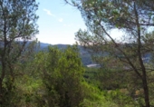 Urban land for sale on España, Canyelles, ref: TR116341 photo