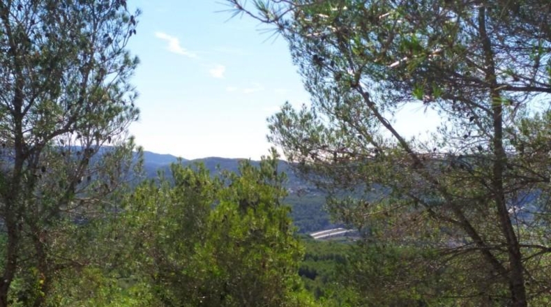 Barcelona - Canyelles - 439m2