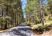 Sòl urbà en venda a la España, Huétor de Santillán, ref.: TR373669 foto