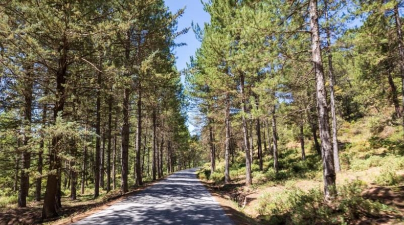Granada - Huétor de Santillán - 83m2