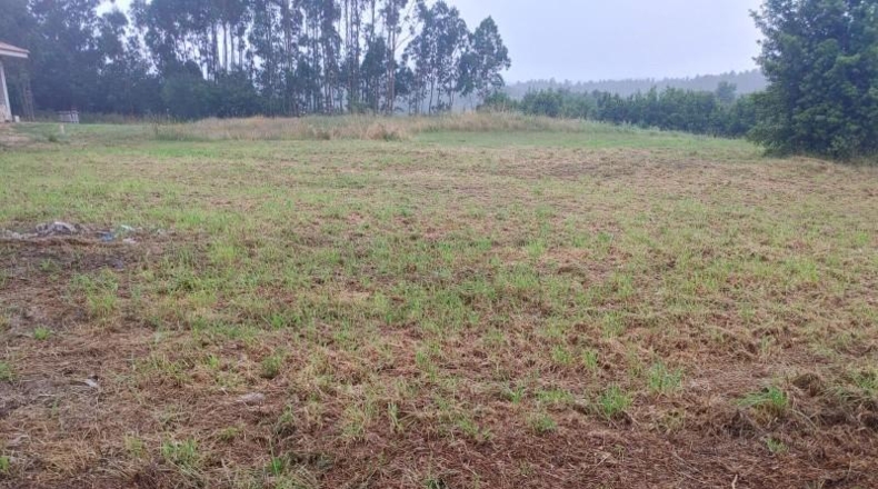 La Coruna - A Coruña - 2300m2