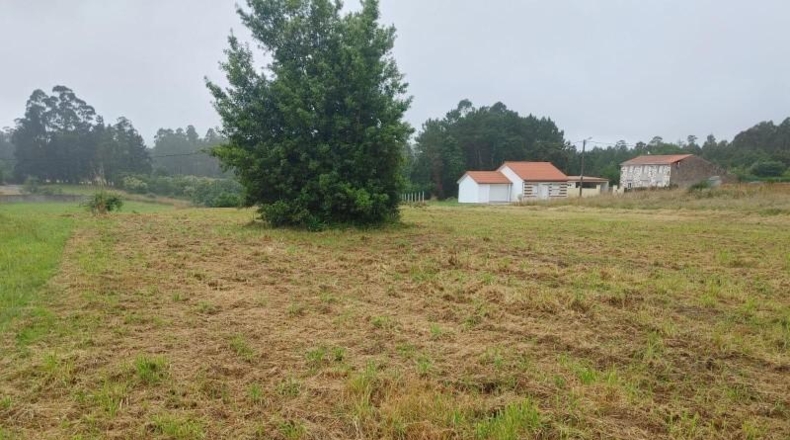 La Coruna - A Coruña - 2300m2