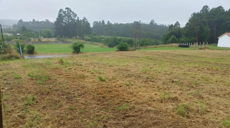 La Coruna - A Coruña - 2300m2