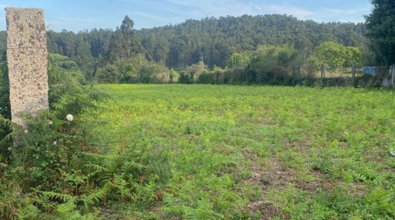 Pontevedra - Fonte de Curro - 635m2