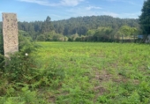 Non-developable land for sale on España, Barro, ref: TR167022 photo