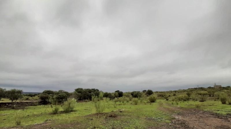 Cáceres - Botija - 44400m2