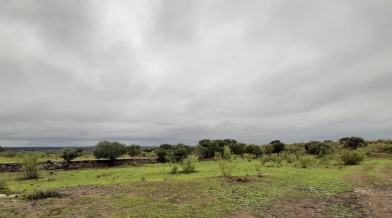 Cáceres - Botija - 44400m2
