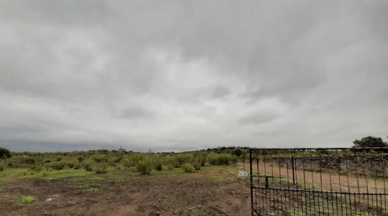 Cáceres - Botija - 44400m2