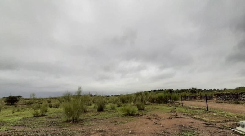 Cáceres - Botija - 44400m2