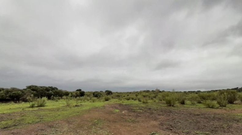 Cáceres - Botija - 44400m2