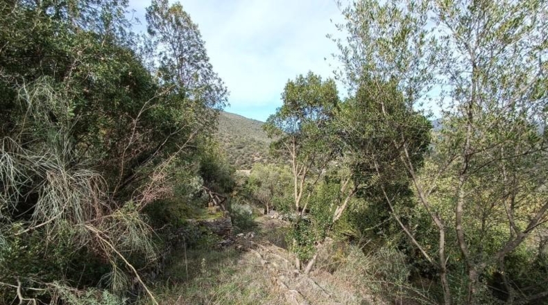Cádiz - Benaocaz - 1002m2