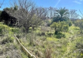 Terreny no urbanitzable en venda a la España, Múrcia, ref.: TR128205 foto