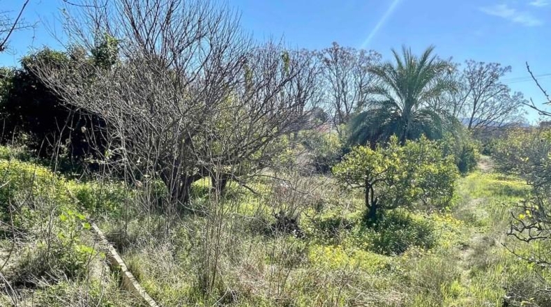 Múrcia - Múrcia - 1450m2
