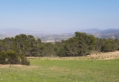 Non-developable land for sale on España, Lorca, ref: TR130715 photo