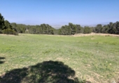 Non-developable land for sale on España, Lorca, ref: TR130715 photo