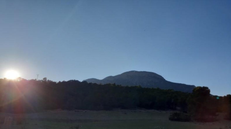 Murcia - Lorca - 20000m2