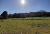 Non-developable land for sale on España, Lorca, ref: TR130715 photo