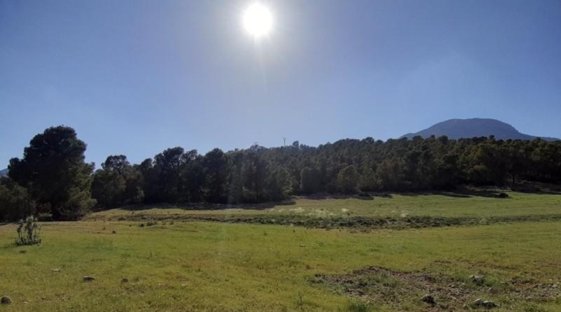 Murcia - Lorca - 20000m2