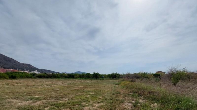 Murcia - Murcia - 3608m2