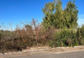Terreno no urbanizable en venta en la España, Puçol, ref: TR118987 foto