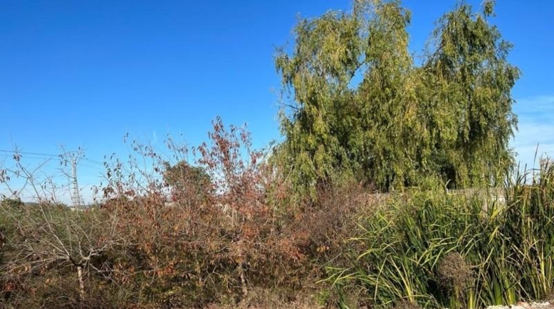 València - Puzol - 1881m2