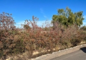 Terreno no urbanizable en venta en la España, Puçol, ref: TR118987 foto