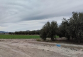 Terreno no urbanizable en venta en la España, Lorca, ref: TR366823 foto