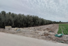Lorca 8401&nbsp;м²
