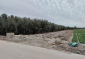 Terreno no urbanizable en venta en la España, Lorca, ref: TR366823 foto