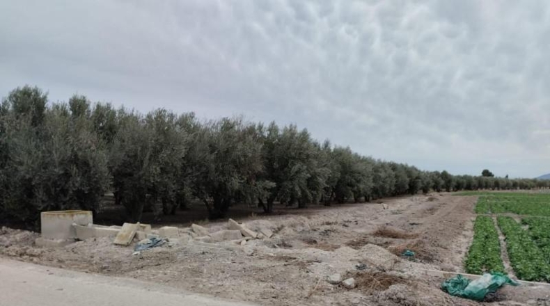 Мурсия - Lorca - 8401m2