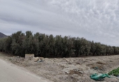 Terreno no urbanizable en venta en la España, Lorca, ref: TR366823 foto