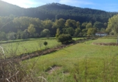Land suitable for development for sale on España, Ramales de la Victoria, ref: TR345135 photo