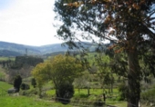 Terreny no urbanitzable en venda a la España, Villaviciosa, ref.: TR133882 foto