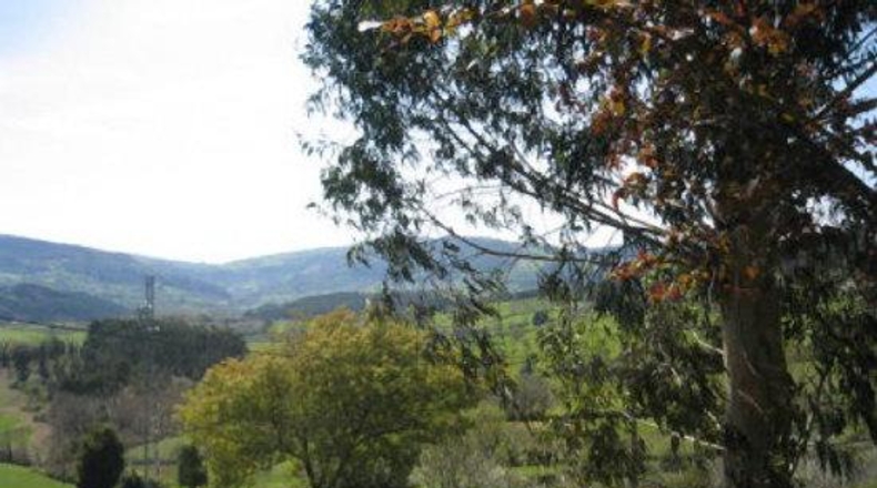 Asturias - Villaviciosa - 600m2