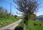 Terreny no urbanitzable en venda a la España, Villaviciosa, ref.: TR133882 foto