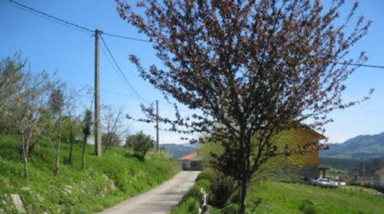 Asturias - Villaviciosa - 600m2