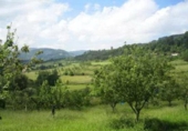 Terreny no urbanitzable en venda a la España, Villaviciosa, ref.: TR133882 foto