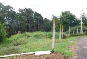 Tomiño 600&nbsp;m²