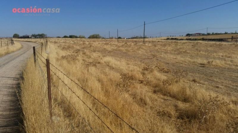 Córdoba - Pozoblanco - 25000m2