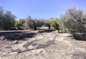 Terreny no urbanitzable en venda a la España, Calasparra, ref.: TR119474 foto