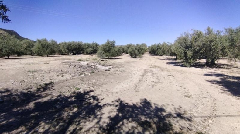 Múrcia - Calasparra - 13622m2