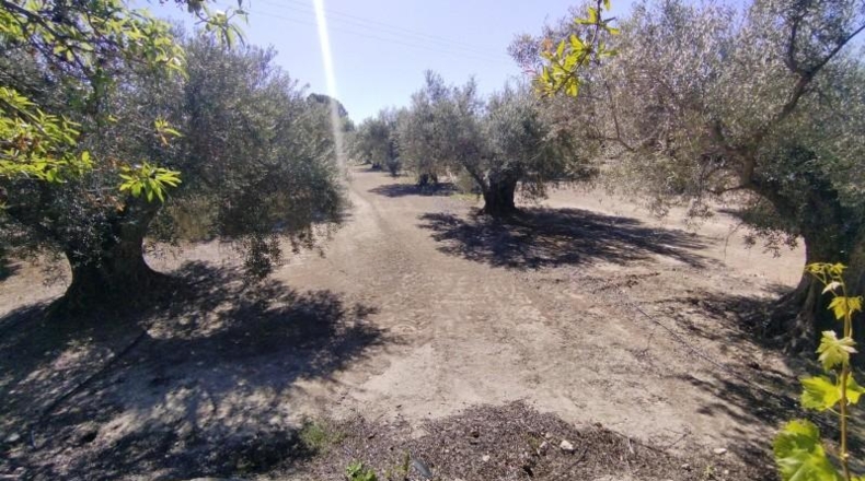 Múrcia - Calasparra - 13622m2